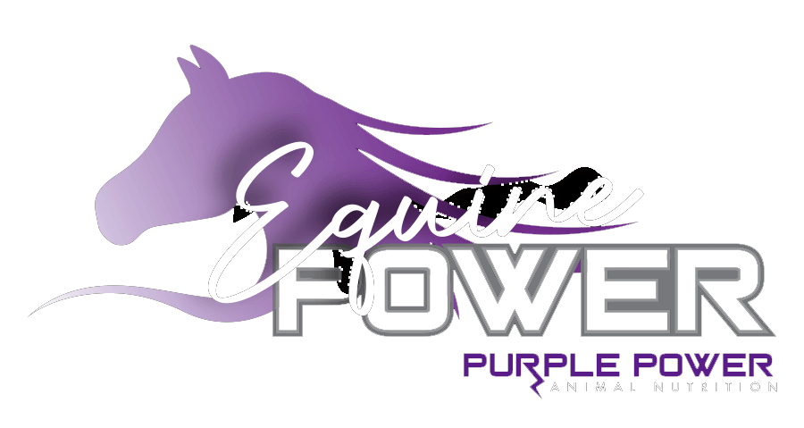 EquinePower-NEW